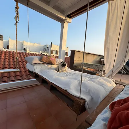 Homestay Stanza Relax Con Uscita Sulla